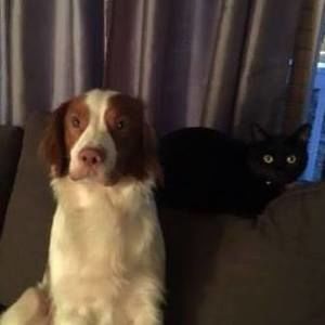 Meet your Posher, Carolyn